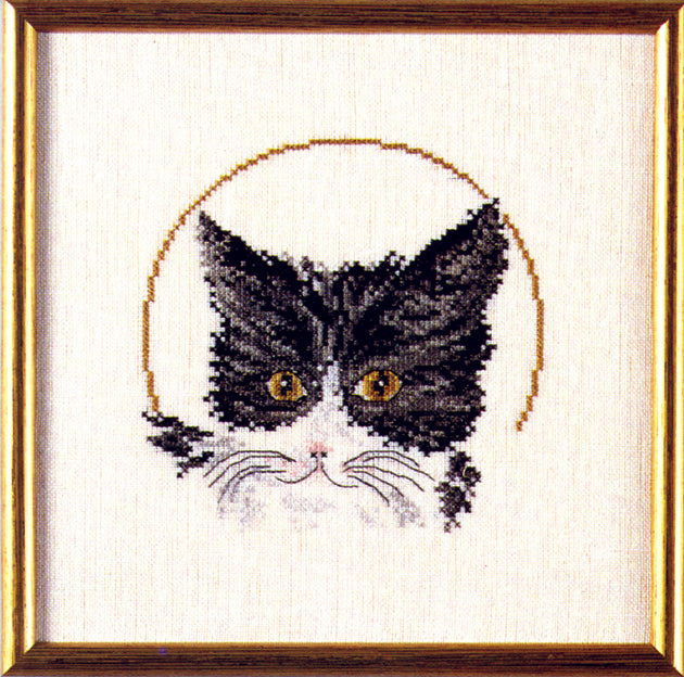 Sort kat broderikit