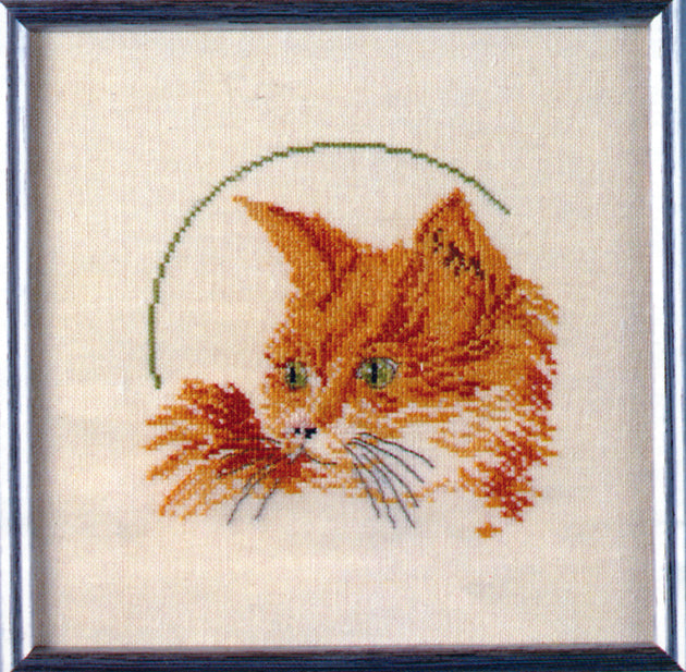 Rød katte broderikit