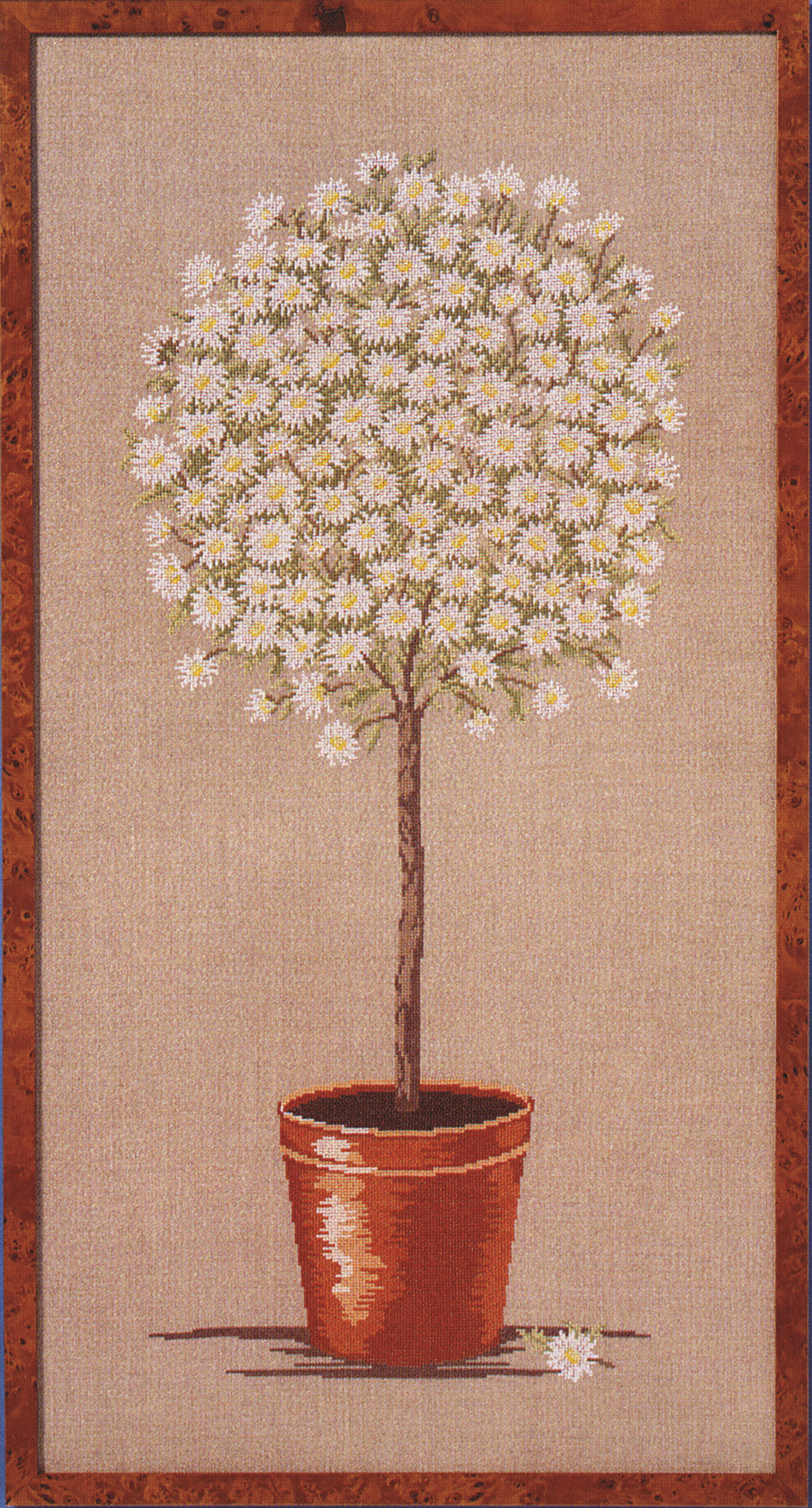 Broderikit margerittræ