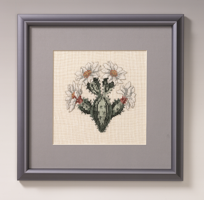 Broderikit kaktus med hvide blomster
