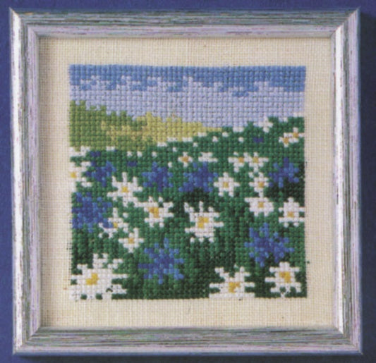 Broderikit marguritter