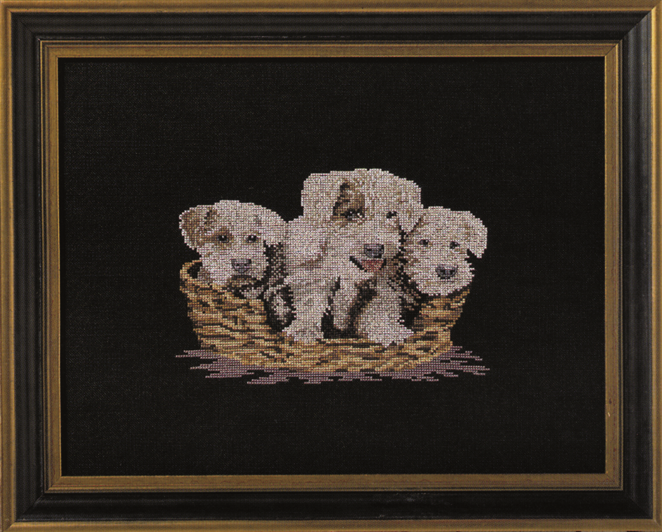 Hunde hvalpe / Terrierhvalpe broderikit